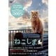 ねこしま [DVD]