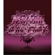 KAT-TUN／ONE DROP