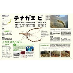 ヨドバシ.com - サッと作れて本格派!鮮魚料理のすすめ とれたて