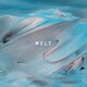 bokula.／MELT