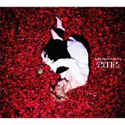 Acid Black Cherry／『2012』
