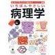 いちばんやさしい病理学―はじめてでもスラスラ読めるオールカラー図解 [単行本]