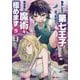 転生したら第七王子だったので、気ままに魔術を極めます〈9〉(講談社ラノベ文庫) [文庫]