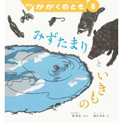 みずたまりと いきもの かがくのとも（2025年8月号） [雑誌]