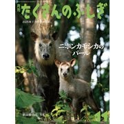 ニホンカモシカのパール たくさんのふしぎ（2025年11月号） [雑誌]
