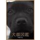 犬顔図鑑 [単行本]