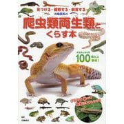 白輪園長の爬虫類両生類とくらす本―見つける・観察する・飼育する [図鑑]