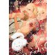 毒婦も仔猫も愛してる(新書館ディアプラス文庫) [文庫]