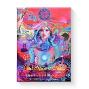 ソウルスパークカード [単行本]