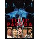 チューリップ／PAGODA ～TULIP LAND IN ASHINOKO 1984.8.11 [DVD]