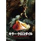 キラー・クロコダイル [DVD]