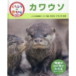 カワウソ(くらべてみよう!どうぶつの赤ちゃん〈23〉) [単行本]