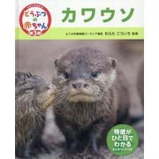 カワウソ(くらべてみよう!どうぶつの赤ちゃん〈23〉) [単行本]