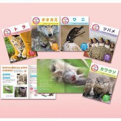 くらべてみよう！どうぶつの赤ちゃん　第３期（全５巻）(くらべてみよう！どうぶつの赤ちゃん<0>) [単行本]