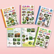 見る　知る　ふれあう　学校のまわりの自然たんけん図鑑（全４巻）(見る　知る　ふれあう　学校のまわりの自然たんけん図鑑<0>) [単行本]