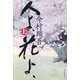 人よ、花よ、〈上〉 [単行本]