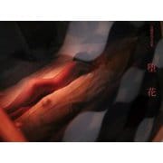 高橋伸哉写真集 堕花 [単行本]