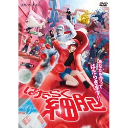 はたらく細胞 [DVD]