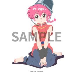 らんま1/2 DVD BOX Vol.1 [DVD]