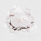 Are Square／Let's Go To Eat Crab's Club