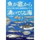 魚が底から湧いてくる海　東北の海と底びき網漁業の今昔 [単行本]