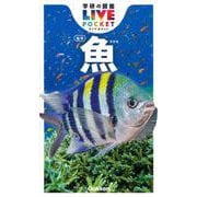 魚　新版(学研の図鑑ＬＩＶＥ（ライブ）ポケット<１>) [図鑑]