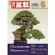 近代盆栽 2025年 06月号 [雑誌]