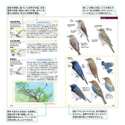 日本の鳥類関連書籍 3冊セット 日本の鳥類関連書籍 3冊セット 図鑑NEO_動物_鳥_2