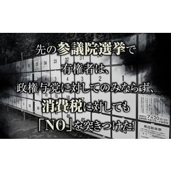 ヨドバシ.com - 今こそ消費税廃止+積極財政を!―日本の没落を招