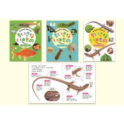 みつけよう・そだてよう ちいさないきもの [全集叢書]