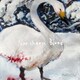 SWALLOW／Northern Blood