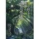 フォトコン別冊 光で彩る四季の風景写真表現 2025年 06月号 [雑誌]
