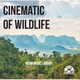 NTVM Music Library CINEMATIC OF WILDLIFE