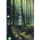エメラルド国物語 [単行本]