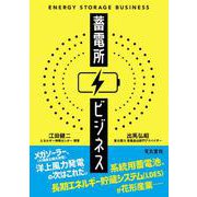 蓄電所ビジネス [単行本]