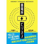 蓄電所ビジネス [単行本]