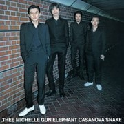 CASANOVA SNAKE