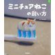 ミニチュアねこの飼い方(パンダの穴BOOKS) [単行本]