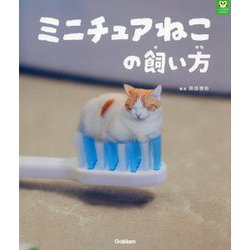 ミニチュアねこの飼い方(パンダの穴BOOKS) [単行本]