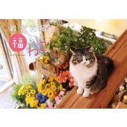 岩合光昭　福ねこカレンダー2026<2026年> [カレンダー]