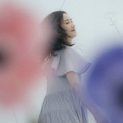 アネモネ