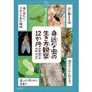 身近な虫の生き方観察12か月(季節の生きもの事典〈3〉) [単行本]