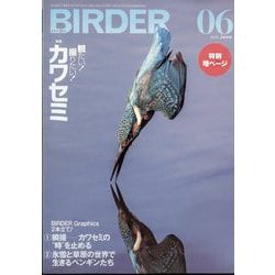 BIRDER (バーダー) 2025年 06月号 [雑誌]