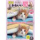 週刊実話増刊  かわいい猫のまちがいさがし 2025年 6/30号 [雑誌]
