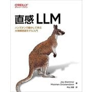 直感LLM―ハンズオンで動かして学ぶ大規模言語モデル入門 [単行本]
