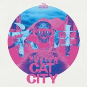 CAT CITY