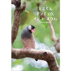 とことんブンチョウ、インコ・オウム [単行本]