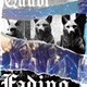 Quubi／Fading