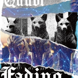 Quubi／Fading