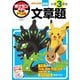 ポケモンずかんドリル小学3年生文章題―算数 [全集叢書]
